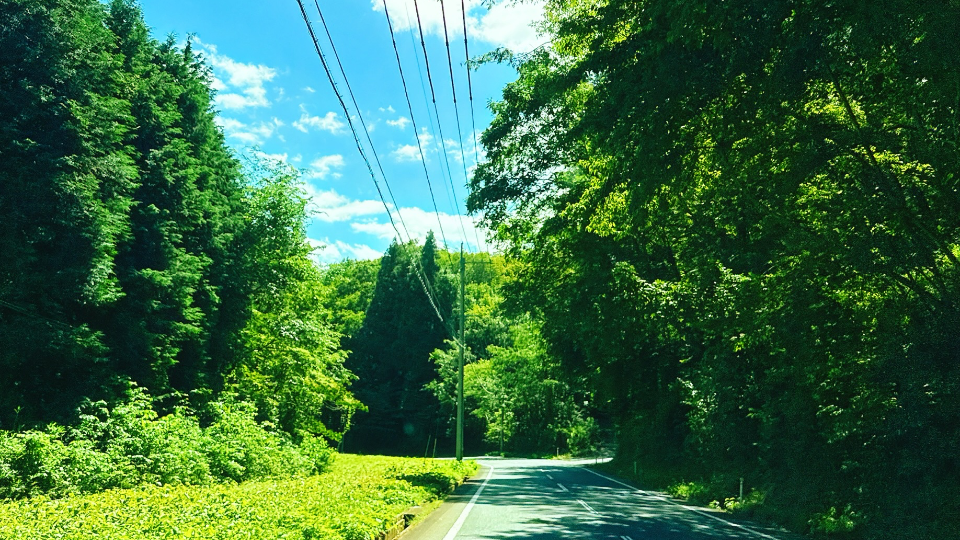 田舎にタイムスリップ