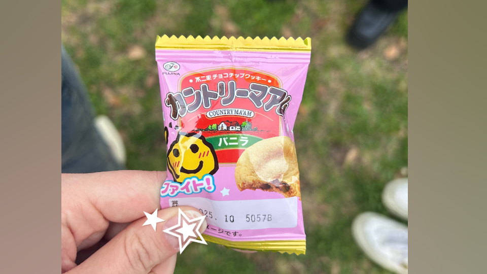 お城祭り🏮✨