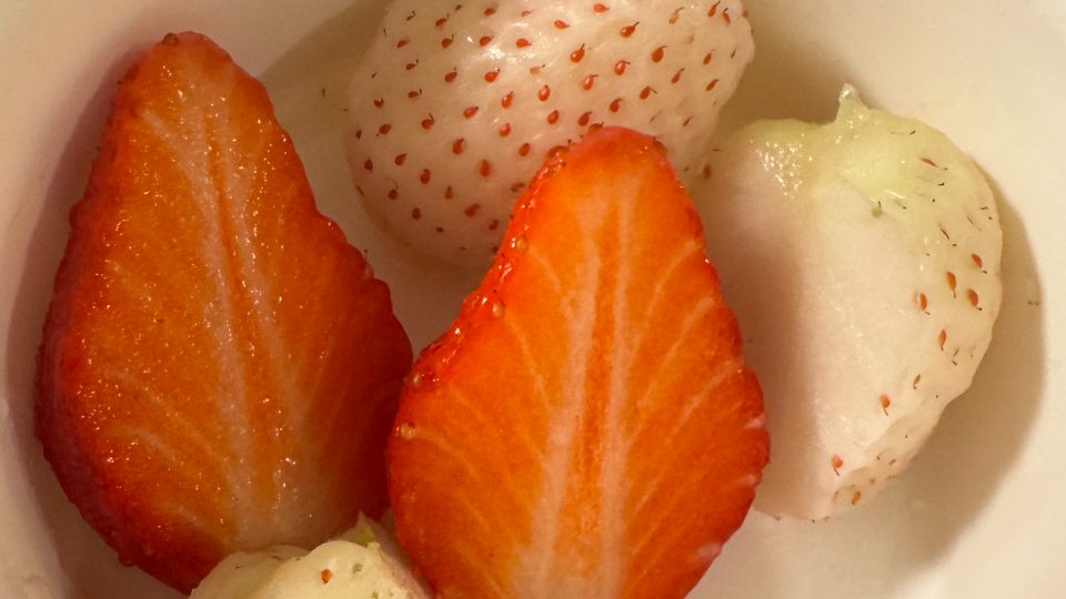 白いいちごくれたんやけど可愛い〜甘さは思ったより控えめだった☺️