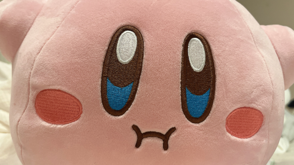 カービィと🩷🐷