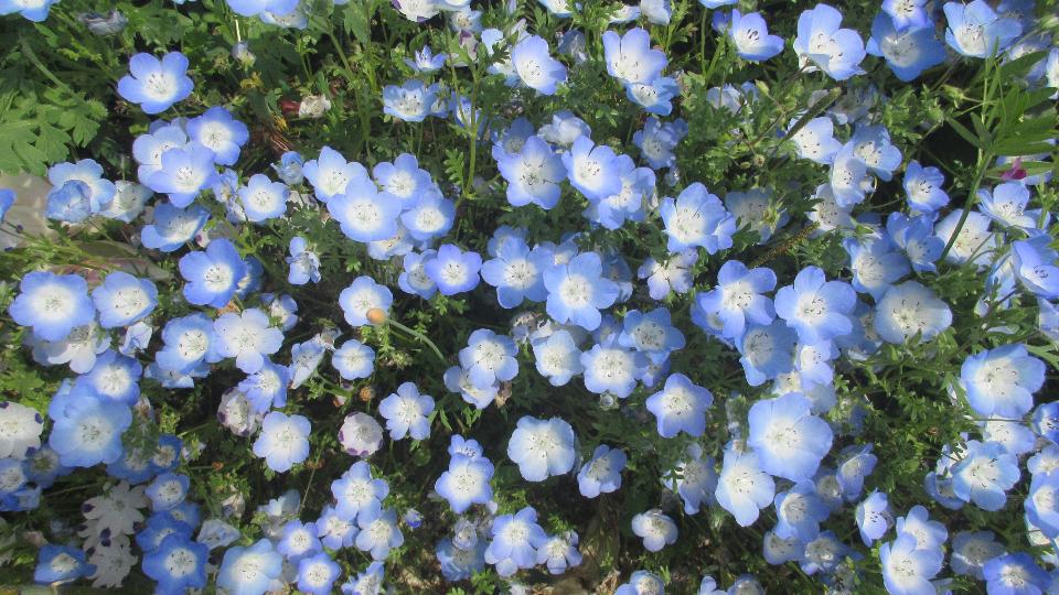 （※BLOG更新※）