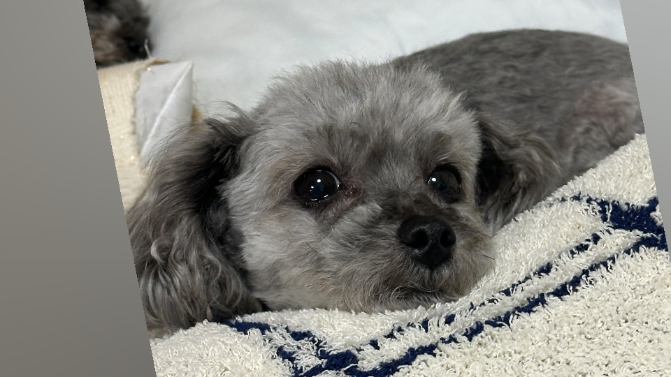 （※BLOG更新※）
