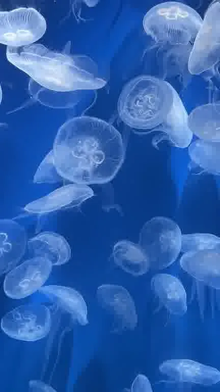 ホストクラブ12ムービー