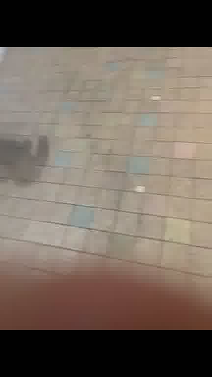 かきくけんけんの15 MOVIE