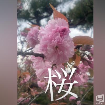 高知市ホストクラブ2026-04-09 20:04:16のお気に入り写真