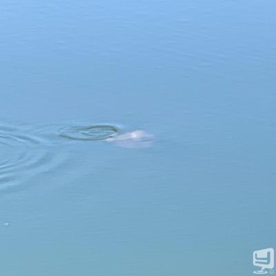 高知市ホストクラブ2026-04-24 18:26:30のお気に入り写真