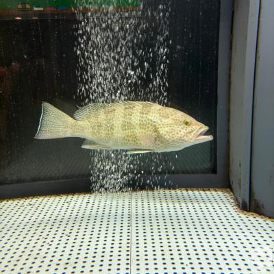 海月ののお気に入りの写真