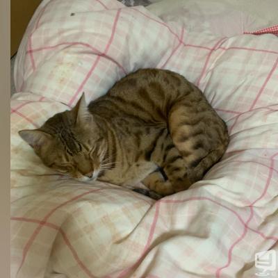 高知市ホストクラブ2026-03-28 21:29:52のお気に入り写真