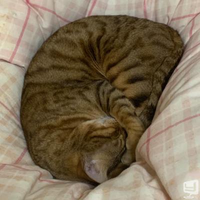 高知市ホストクラブ2026-03-29 18:48:20のお気に入り写真