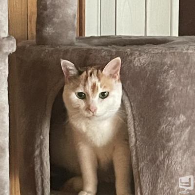 高知市ホストクラブ2026-09-16 20:31:15のお気に入り写真