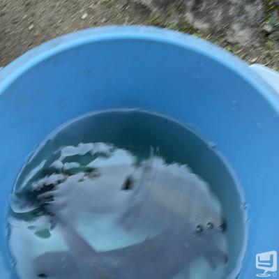 高松市ホストクラブ2026-10-21 19:41:43のお気に入り写真