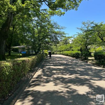 五条　蘭ののお気に入りの写真