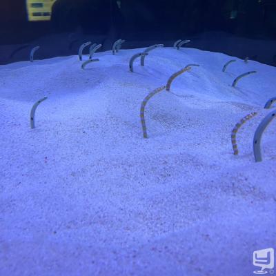 鶴ののお気に入りの写真
