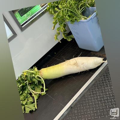 高松市ホストクラブ2026-02-18 14:13:31のお気に入り写真