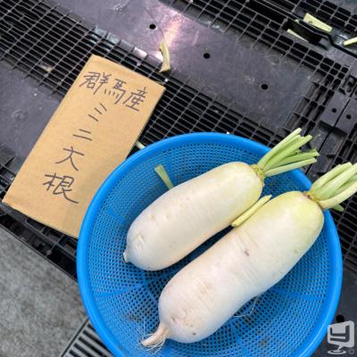天照陽ののお気に入りの写真