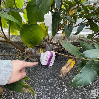 高松市ホストクラブ2026-03-18 17:25:07のお気に入り写真