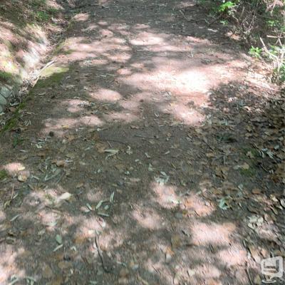 高松市ホストクラブ2026-05-19 23:51:55のお気に入り写真