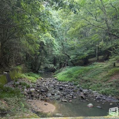 高松市ラウンジ2026-05-15 18:48:13のお気に入り写真