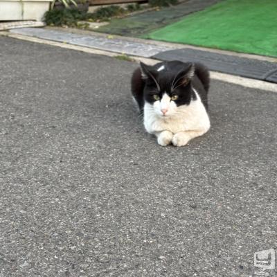 高松市ラウンジ2026-09-18 16:30:02のお気に入り写真